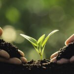 US Pledges $41.1M to Elevate Soil Health and Boost Crop Yields Across Africa