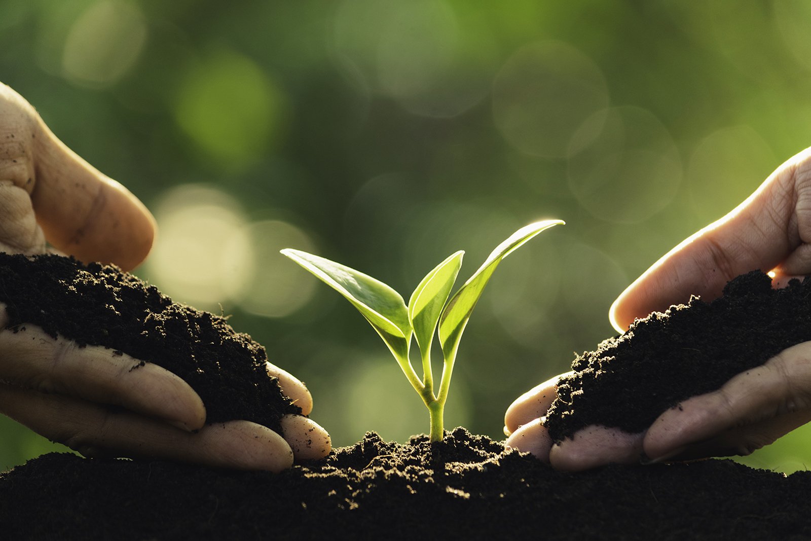 US Pledges $41.1M to Elevate Soil Health and Boost Crop Yields Across Africa